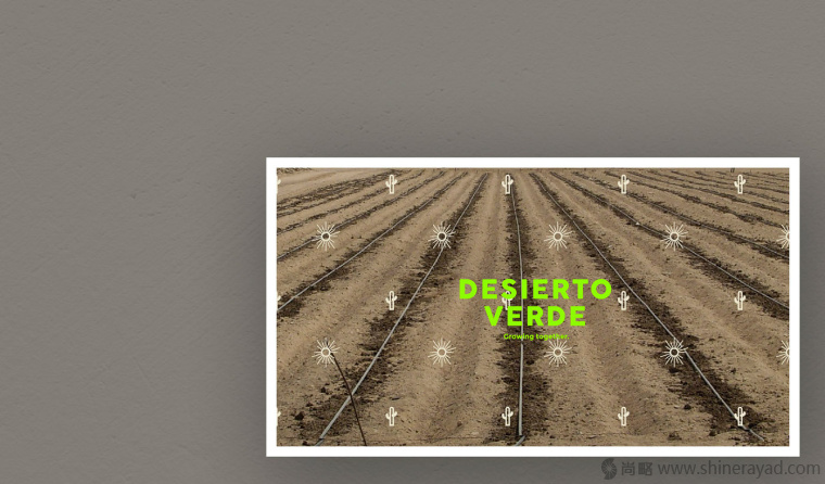 Desierto Verde 有機農(nóng)產(chǎn)品品品牌LOGO設(shè)計-上海LOGO設(shè)計公司13