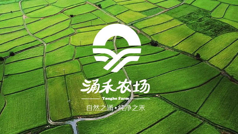 涌禾農場標志設計-上海標志設計公司-尚略品牌設計公司2 涌禾農場標志設計-上海標志設計公司-尚略品牌設計公司2