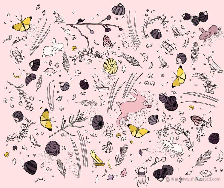 上海包裝設(shè)計(jì)公司-EXPRESSION 松露巧克力包裝設(shè)計(jì)包裝插畫設(shè)計(jì)2 上海包裝設(shè)計(jì)公司-EXPRESSION 松露巧克力包裝設(shè)計(jì)包裝插畫設(shè)計(jì)2