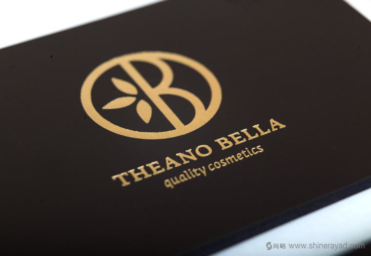 Theano Bella 美容化妝品logo設(shè)計(jì)-上海logo設(shè)計(jì)公司12 Theano Bella 美容化妝品logo設(shè)計(jì)-上海logo設(shè)計(jì)公司12