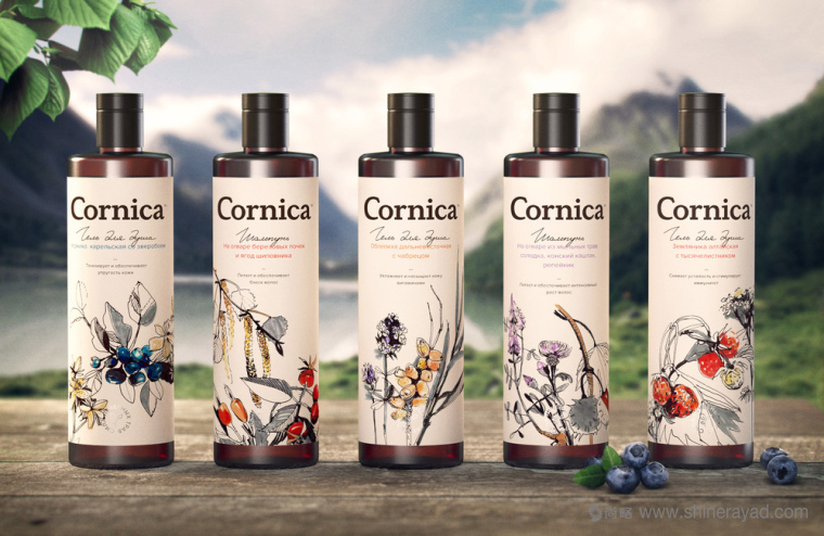 植物素描與水彩插畫CORNICA洗發(fā)水沐浴露清潔衛(wèi)生與天然化妝品包裝設(shè)計-上海包裝設(shè)計公司9