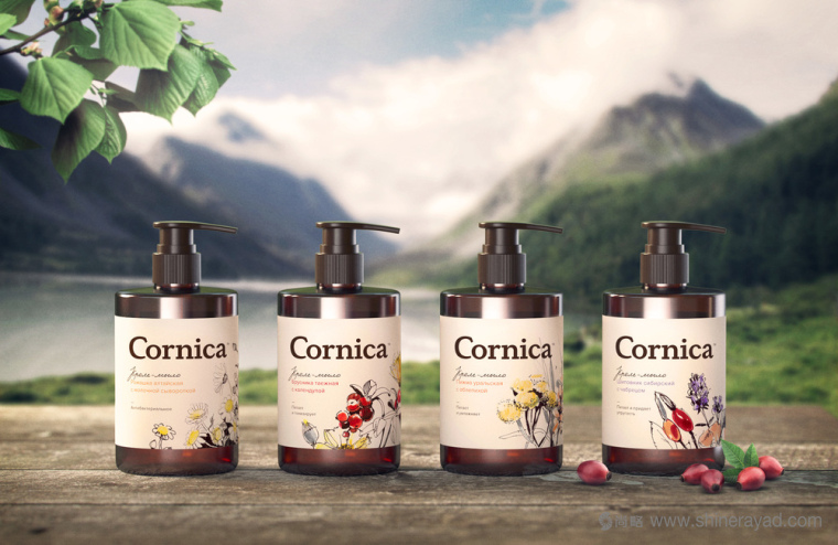 植物素描與水彩插畫CORNICA洗發(fā)水沐浴露清潔衛(wèi)生與天然化妝品包裝設(shè)計(jì)-上海包裝設(shè)計(jì)公司6 植物素描與水彩插畫CORNICA洗發(fā)水沐浴露清潔衛(wèi)生與天然化妝品包裝設(shè)計(jì)-上海包裝設(shè)計(jì)公司6