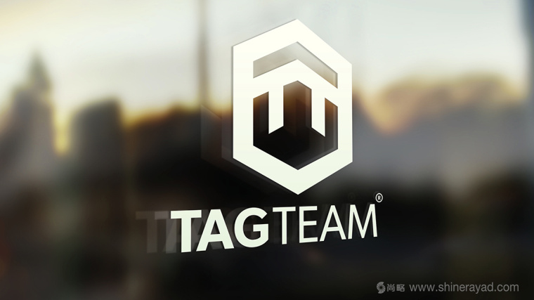 TAGTEAM 工業(yè)品企業(yè)六邊形logo設(shè)計(jì)-上海logo設(shè)計(jì)公司2