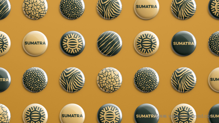 Sumatra 智能安全環(huán)境系統(tǒng)logo設計VI設計-上海logo設計-上海VI設計公司12