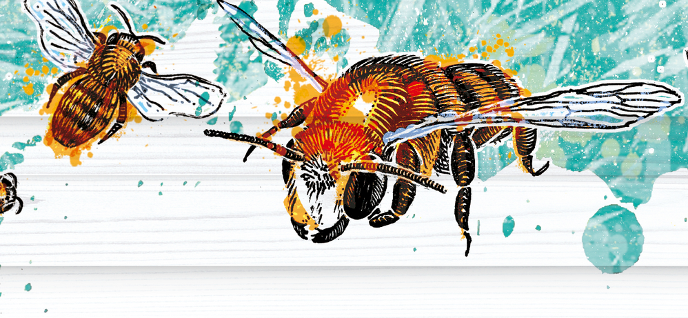 Abelha 有機甘蔗酒禮盒包裝設(shè)計蜜蜂插畫設(shè)計-上海包裝設(shè)計公司1 Abelha 有機甘蔗酒禮盒包裝設(shè)計蜜蜂插畫設(shè)計-上海包裝設(shè)計公司1