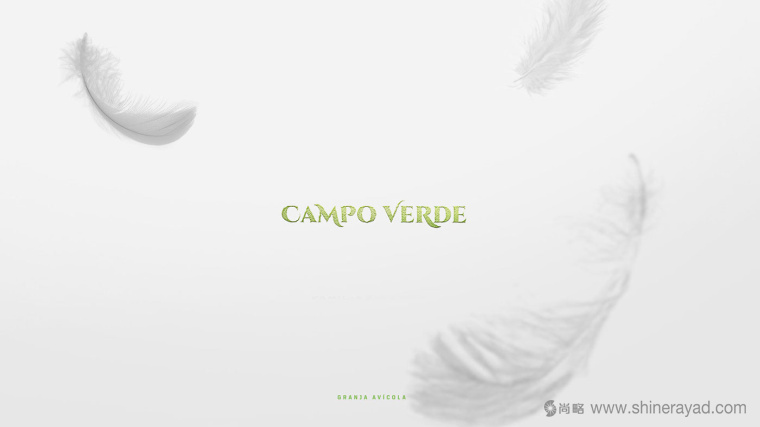 Campo Verde 雞蛋農(nóng)場logo設(shè)計(jì)VI設(shè)計(jì)-上海logo設(shè)計(jì)公司1