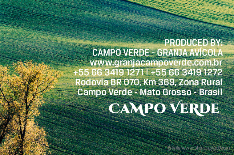Campo Verde 雞蛋農(nóng)場logo設(shè)計(jì)VI設(shè)計(jì)-上海logo設(shè)計(jì)公司4