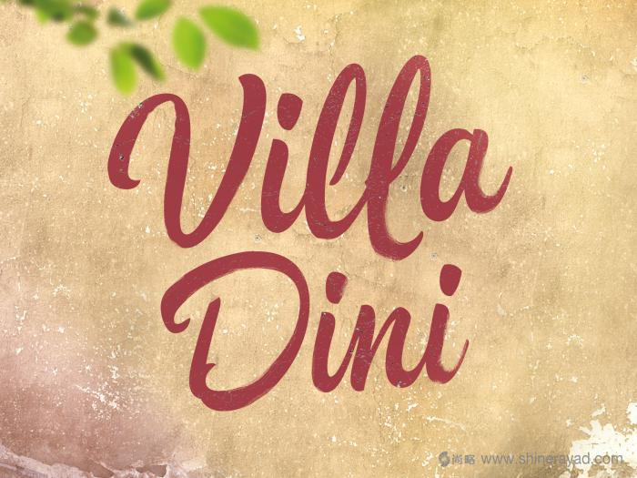上海包裝設計-Villa Dini 水墨風格水果飲料包裝設計-logo設計2 上海包裝設計-Villa Dini 水墨風格水果飲料包裝設計-logo設計2