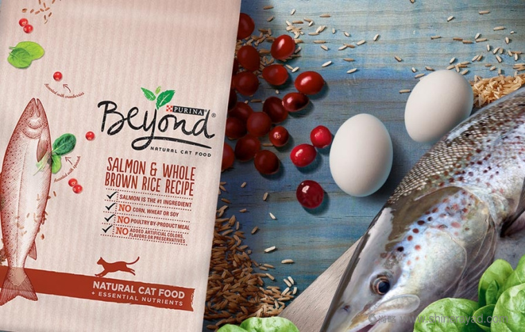 Going Beyond 普瑞納寵物食品包裝設(shè)計-上海包裝設(shè)計公司3 Going Beyond 普瑞納寵物食品包裝設(shè)計-上海包裝設(shè)計公司3