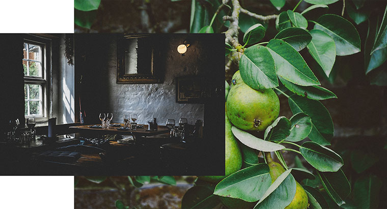 尼約德有機(jī)餐廳餐飲logo設(shè)計(jì)VI設(shè)計(jì)-菜單設(shè)計(jì)-上海VI設(shè)計(jì)公司 尼約德有機(jī)餐廳餐飲logo設(shè)計(jì)VI設(shè)計(jì)-菜單設(shè)計(jì)-上海VI設(shè)計(jì)公司