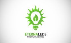 上海尚略logo設(shè)計公司分享：10個最佳的葉子logo設(shè)計-Eternaleds 以葉子為基礎(chǔ)的logo設(shè)計