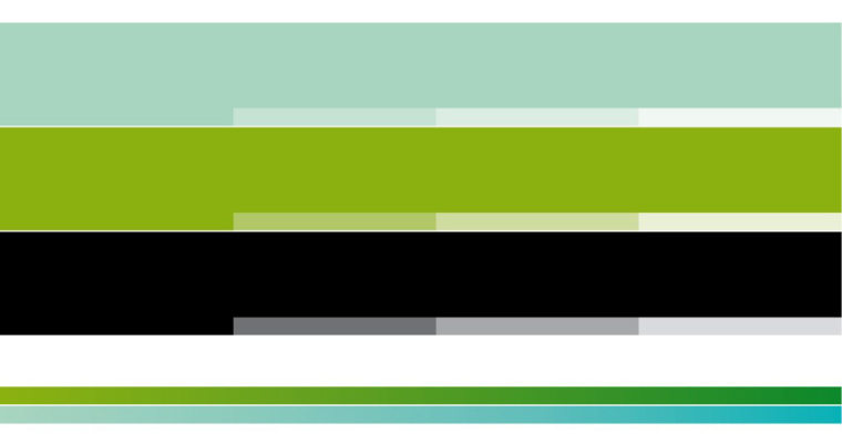 Braga國際性醫(yī)療保健醫(yī)院標志設計-上海標志設計公司