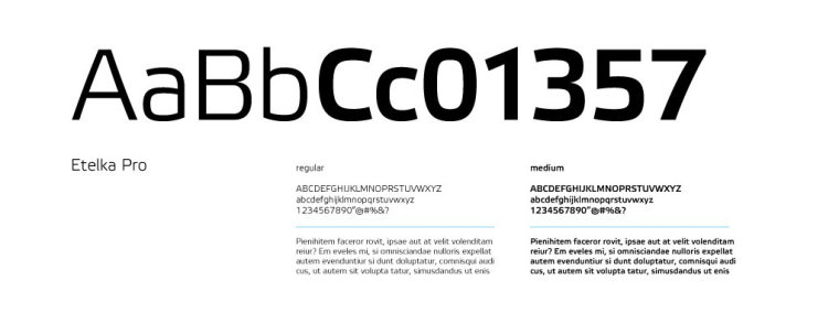 Braga國際性醫(yī)療保健醫(yī)院標志設計-上海標志設計公司