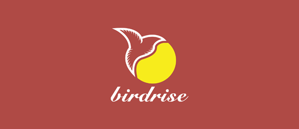 創(chuàng)意太陽logo設(shè)計(jì)靈感-Bird Rise太陽+鳥logo