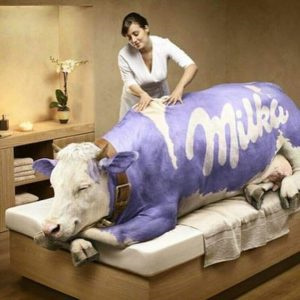 19個在廣告活動中享譽(yù)世界的最佳吉祥物-米爾卡——為什么米爾卡巧克力是如此溫柔 19個在廣告活動中享譽(yù)世界的最佳吉祥物-米爾卡——為什么米爾卡巧克力是如此溫柔