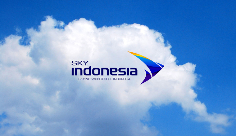 SKY INDONESIA航空公司logo設(shè)計(jì)：代表印尼航空安全\精準(zhǔn)\效率文化\友好的箭鳥logo
