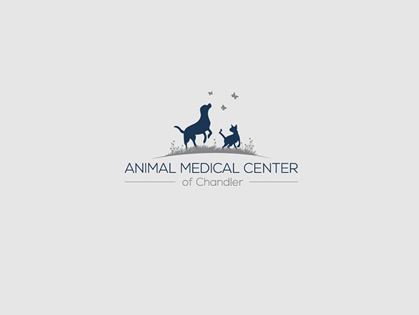 動物醫(yī)療中心-動物護理中心標志設(shè)計