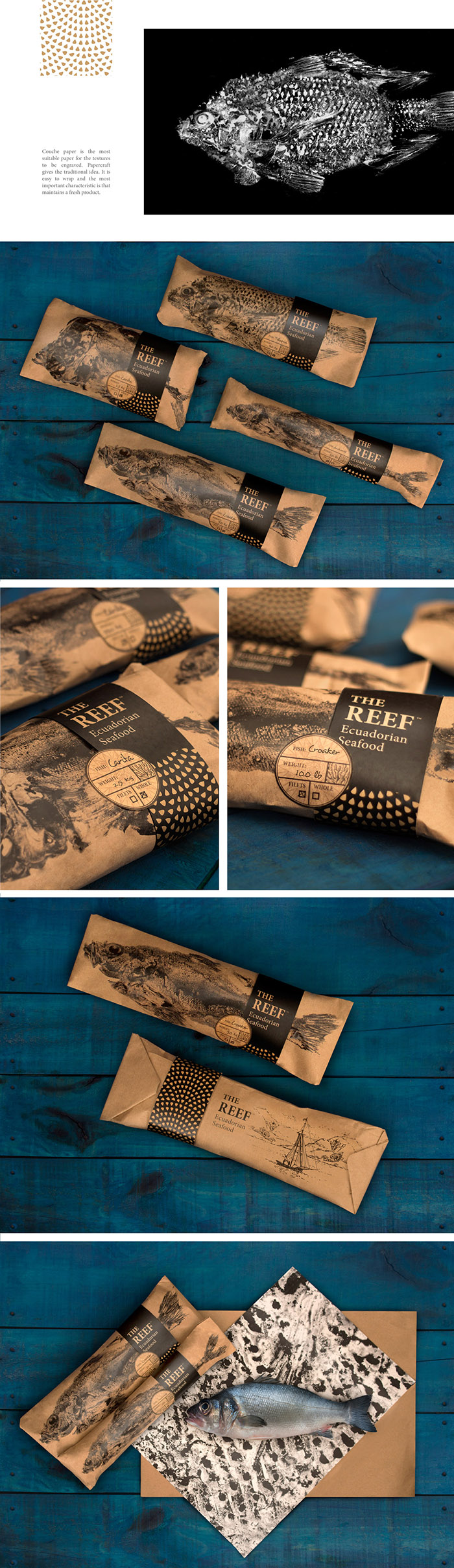 通過(guò)拓印設(shè)計(jì)的Reef 品牌海魚海鮮產(chǎn)品包裝設(shè)計(jì)欣賞-上海包裝設(shè)計(jì)公司 通過(guò)拓印設(shè)計(jì)的Reef 品牌海魚海鮮產(chǎn)品包裝設(shè)計(jì)欣賞-上海包裝設(shè)計(jì)公司