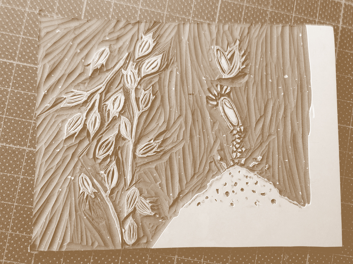 自然田天然農(nóng)場(chǎng)農(nóng)產(chǎn)品包裝設(shè)計(jì)-上海包裝設(shè)計(jì)公司