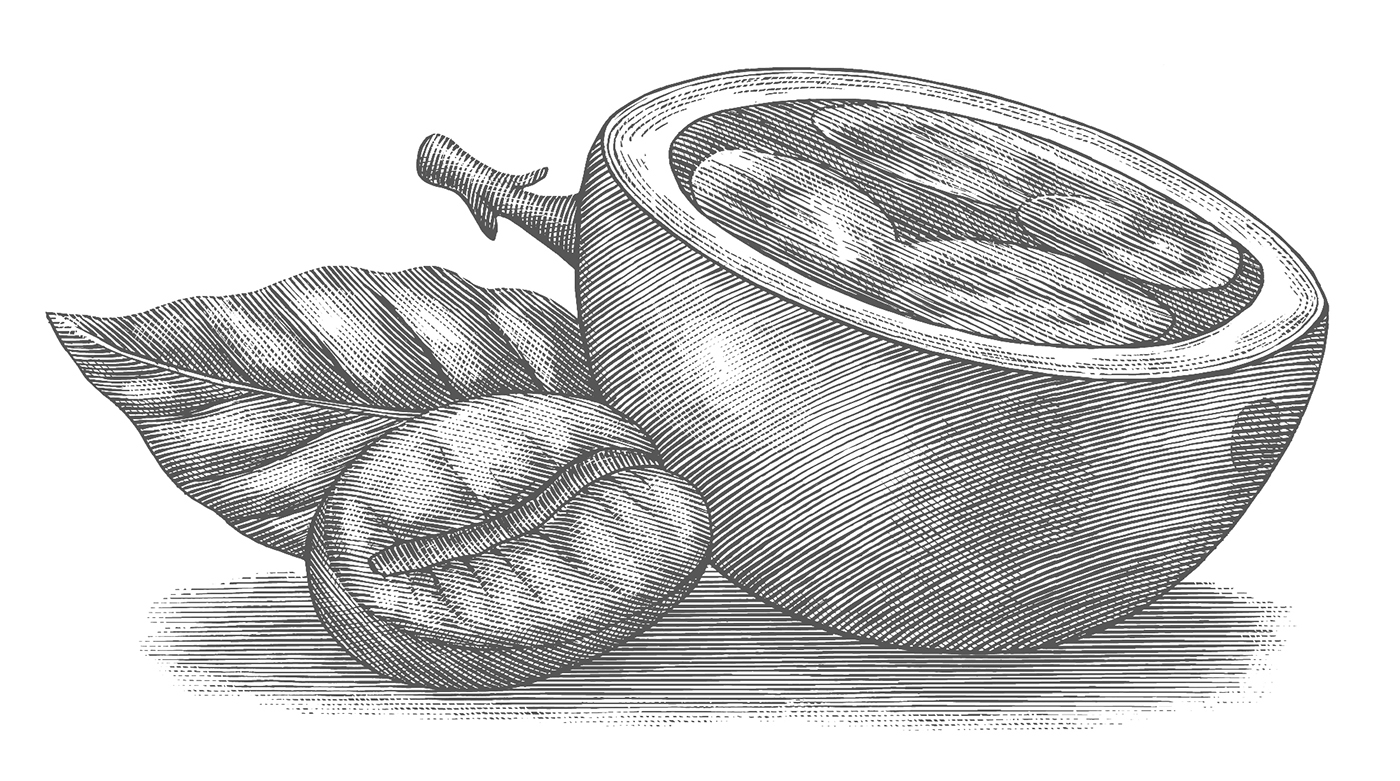 木版畫風(fēng)格星巴克冬季咖啡促銷宣傳插畫設(shè)計(jì)-上海品牌形象設(shè)計(jì)公司-上海平面設(shè)計(jì)公司 木版畫風(fēng)格星巴克冬季咖啡促銷宣傳插畫設(shè)計(jì)-上海品牌形象設(shè)計(jì)公司-上海平面設(shè)計(jì)公司