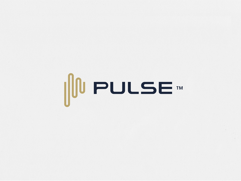 WIP Pulse銀行Logo設(shè)計(jì)-上海標(biāo)志設(shè)計(jì)公司