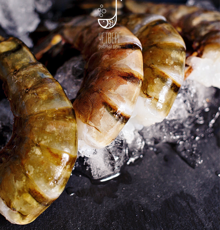 Chetverg - 魚(yú)日餐廳魚(yú)logo設(shè)計(jì)-上海餐飲品牌VI設(shè)計(jì)公司