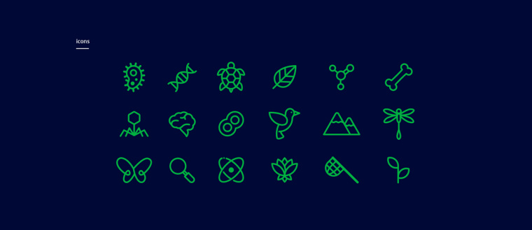 生物學(xué)社會(huì)組織“Dr. Sava Petrovic博士”品牌視覺識(shí)別VI設(shè)計(jì)-上海VI設(shè)計(jì)公司