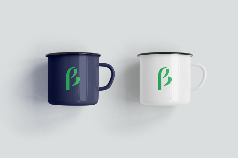 生物學(xué)社會(huì)組織“Dr. Sava Petrovic博士”品牌視覺識(shí)別VI設(shè)計(jì)-上海VI設(shè)計(jì)公司