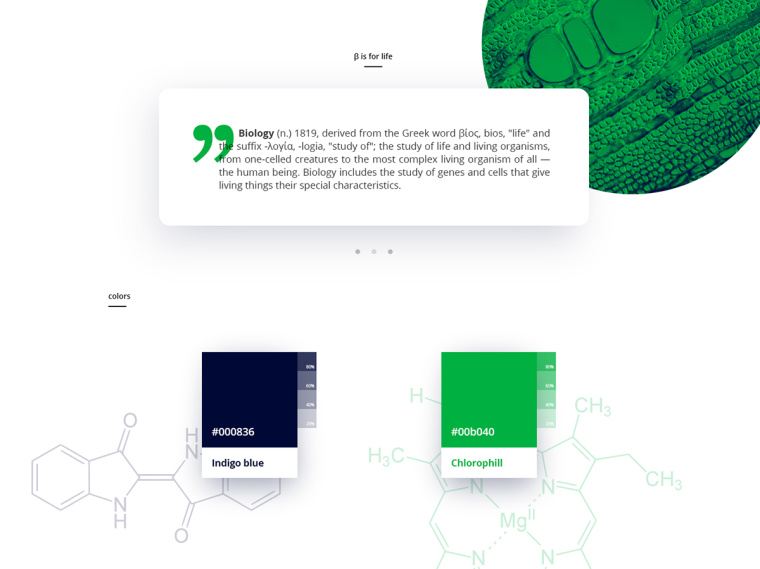 生物學(xué)社會(huì)組織“Dr. Sava Petrovic博士”品牌視覺識(shí)別VI設(shè)計(jì)-上海VI設(shè)計(jì)公司