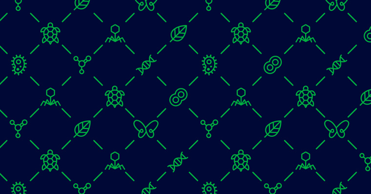 生物學(xué)社會(huì)組織“Dr. Sava Petrovic博士”品牌視覺識(shí)別VI設(shè)計(jì)-上海VI設(shè)計(jì)公司