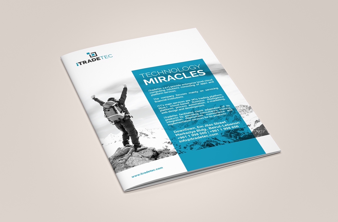 塞浦路斯自貿(mào)科技公司藍色簡約風格宣傳冊-上海宣傳畫冊設(shè)計公司