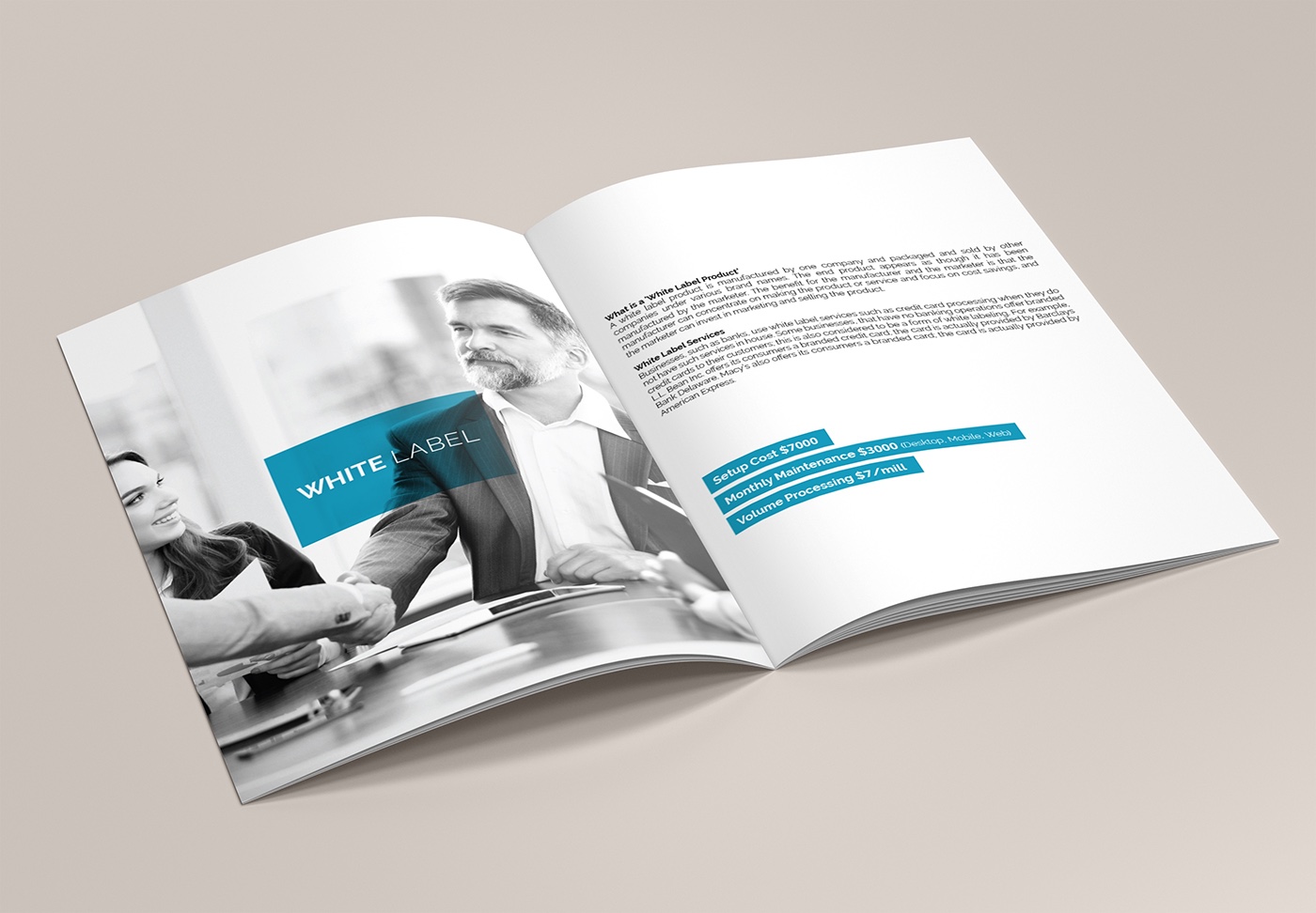 塞浦路斯自貿(mào)科技公司藍色簡約風格宣傳冊-上海宣傳畫冊設(shè)計公司