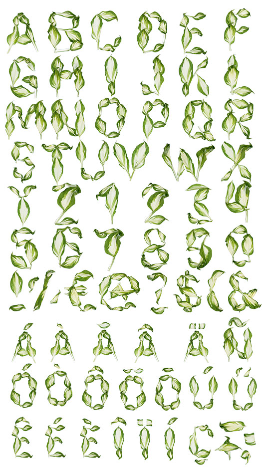 葉子創(chuàng)意英文字體設(shè)計(jì)-上海品牌設(shè)計(jì)公司