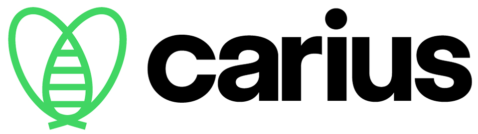 法國(guó)卡里烏斯新型醫(yī)療運(yùn)輸網(wǎng)絡(luò)平臺(tái)蜜蜂LOGO設(shè)計(jì)-上海品牌LOGO設(shè)計(jì)公司