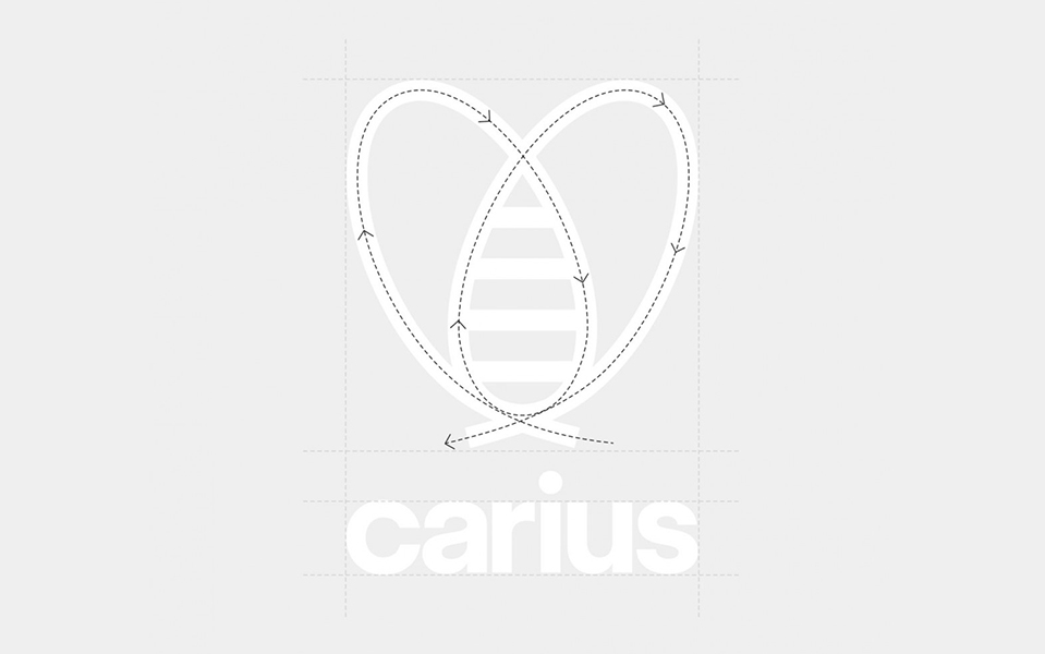 法國(guó)卡里烏斯新型醫(yī)療運(yùn)輸網(wǎng)絡(luò)平臺(tái)蜜蜂LOGO設(shè)計(jì)-上海品牌LOGO設(shè)計(jì)公司