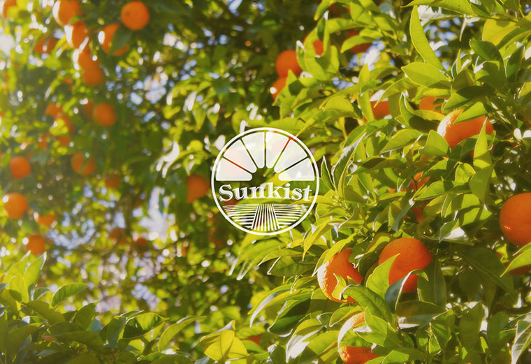 Sunkist 水果品牌logo設計-上海logo設計