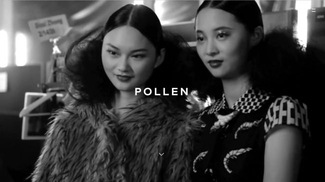 2017年倫敦7家最佳網(wǎng)站設(shè)計-Pollen 品牌和數(shù)字代理公司網(wǎng)站-上海網(wǎng)站策劃設(shè)計公司