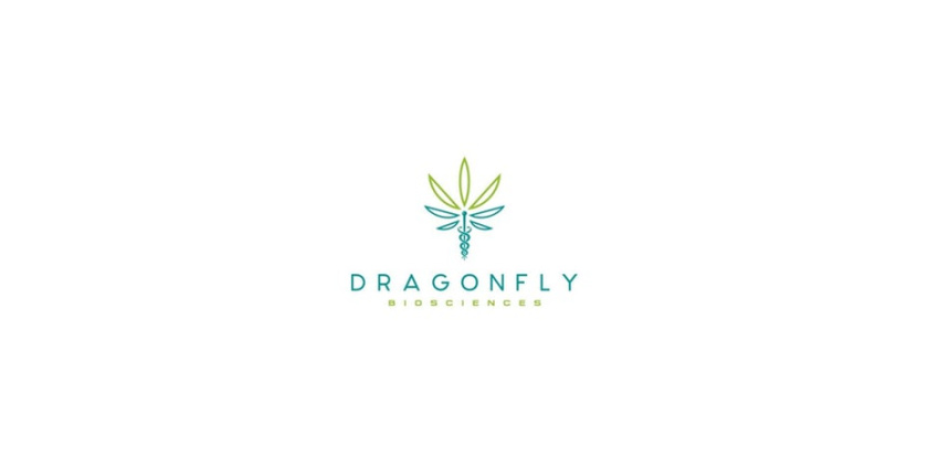 Dragonfly Sciences健康/制藥公司標(biāo)志設(shè)計(jì)
