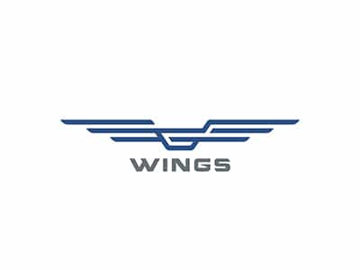 藍色線條的翅膀logo設(shè)計