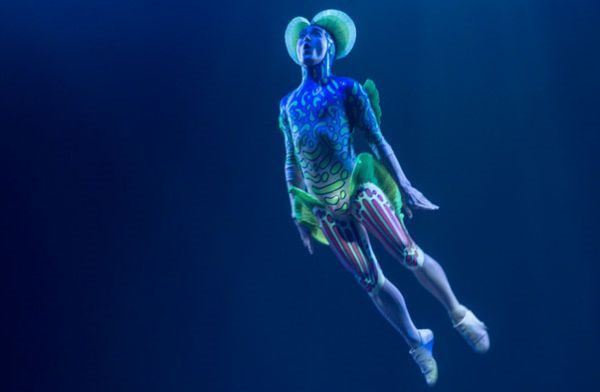 一類品牌，在于創(chuàng)建一個(gè)新品類-上海品牌策劃公司