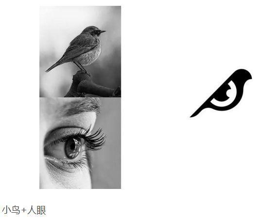 鳥(niǎo)+眼睛logo設(shè)計(jì)