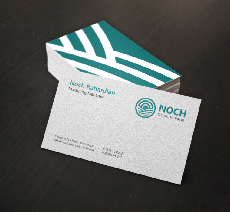Noch 有機(jī)農(nóng)場logo設(shè)計(jì)vi設(shè)計(jì)-名片