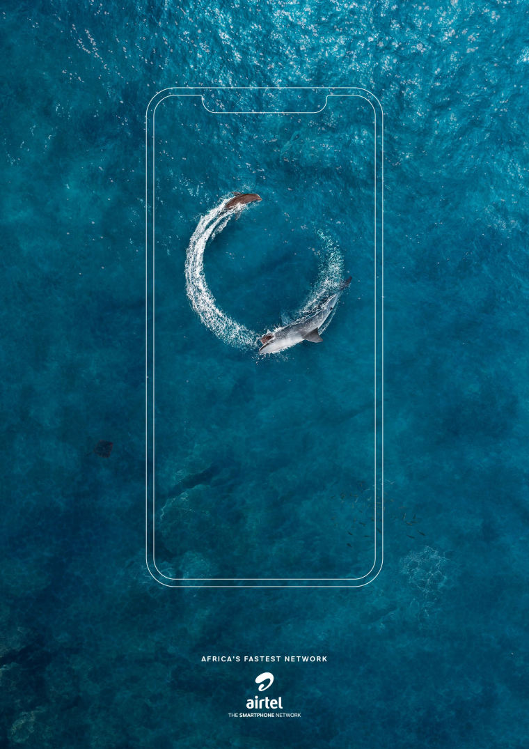 全球領(lǐng)先電信公司Airtel創(chuàng)意平面廣告設(shè)計(jì)-鯊魚(yú)和海豹篇