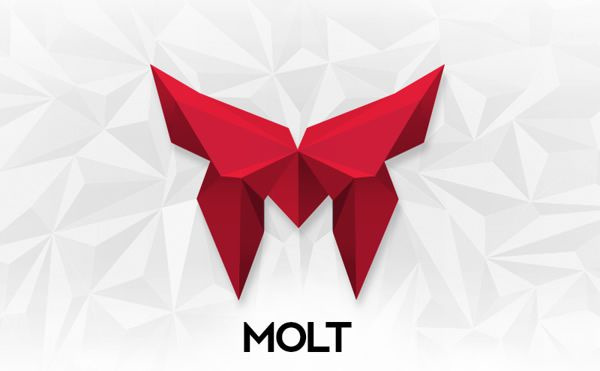 MOLT蛻變企業(yè)VI形象設(shè)計(jì)-標(biāo)識(shí)logo設(shè)計(jì)