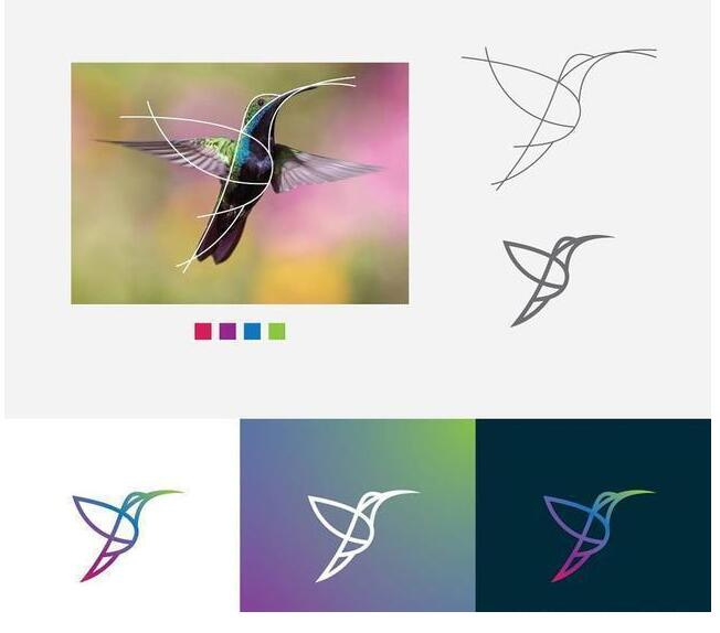 logo設(shè)計過程圖示揭示logo設(shè)計靈感-蜂鳥線條logo設(shè)計靈感 logo設(shè)計過程圖示揭示logo設(shè)計靈感-蜂鳥線條logo設(shè)計靈感