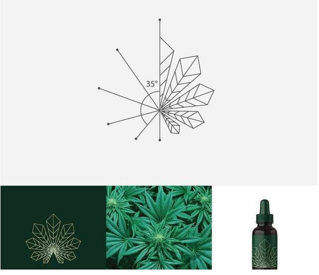 logo設(shè)計過程圖示揭示logo設(shè)計靈感-植物+線條 精油logo設(shè)計靈感 logo設(shè)計過程圖示揭示logo設(shè)計靈感-植物+線條 精油logo設(shè)計靈感