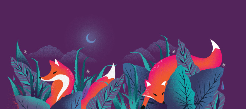 Noir 罐裝餅干禮盒包裝設(shè)計(jì),非常美麗的藝術(shù)插畫（狐貍）