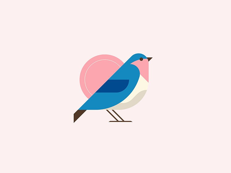 完美配色和創(chuàng)意造型的logo設(shè)計-麻雀birb