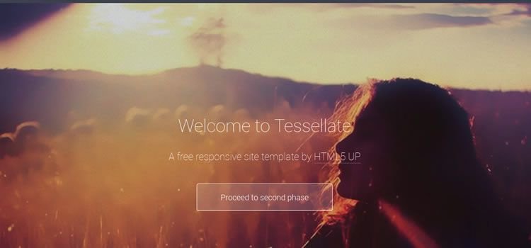 Tessellate css響應(yīng)式HTML模板網(wǎng)頁設(shè)計免費