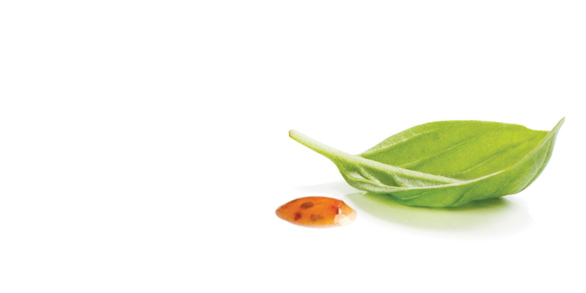 Gourmet Garden美食花園袋裝醬料包包裝設(shè)計(jì)，展現(xiàn)自然清新的美味